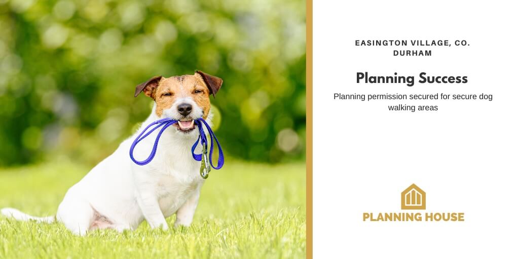 Planning Success – Durham Dogs