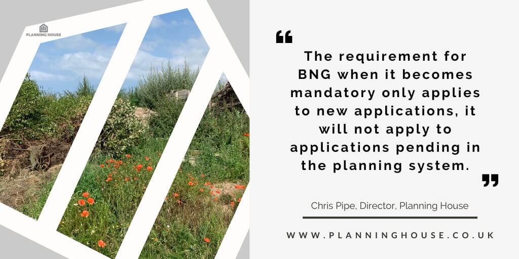 A Guide to Biodiversity Net gain in 2024